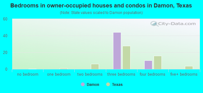 Bedrooms in owner-occupied houses and condos in Damon, Texas