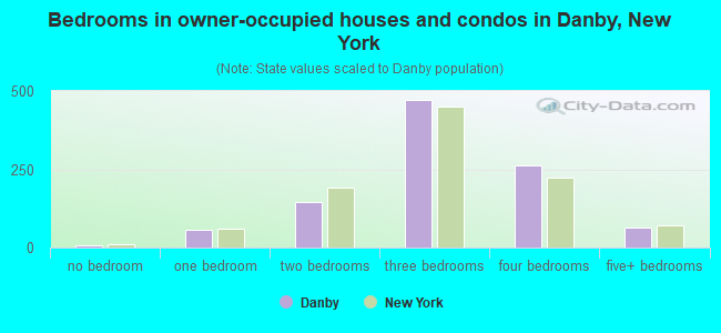 Bedrooms in owner-occupied houses and condos in Danby, New York