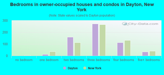 Bedrooms in owner-occupied houses and condos in Dayton, New York