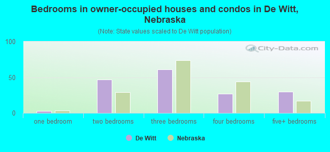 Bedrooms in owner-occupied houses and condos in De Witt, Nebraska
