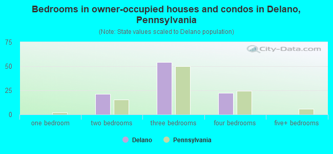 Bedrooms in owner-occupied houses and condos in Delano, Pennsylvania