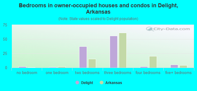 Bedrooms in owner-occupied houses and condos in Delight, Arkansas