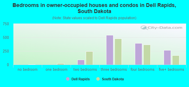 Bedrooms in owner-occupied houses and condos in Dell Rapids, South Dakota