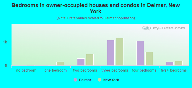 Bedrooms in owner-occupied houses and condos in Delmar, New York