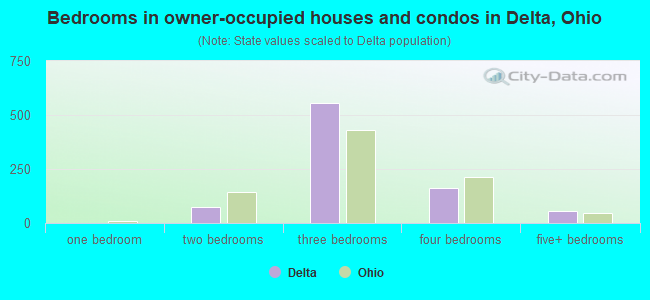 Bedrooms in owner-occupied houses and condos in Delta, Ohio