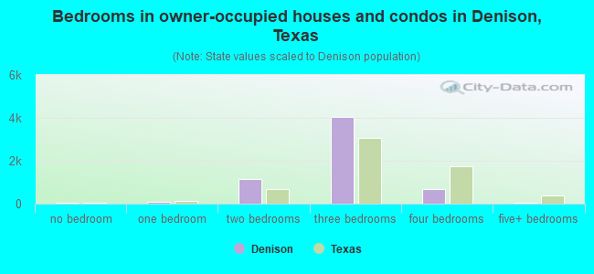 Bedrooms in owner-occupied houses and condos in Denison, Texas