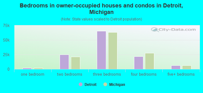 Bedrooms in owner-occupied houses and condos in Detroit, Michigan
