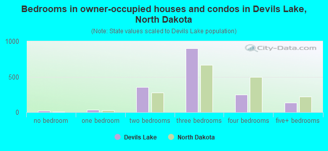 Bedrooms in owner-occupied houses and condos in Devils Lake, North Dakota