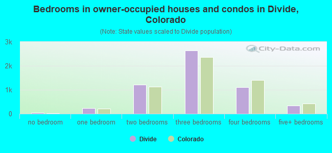 Bedrooms in owner-occupied houses and condos in Divide, Colorado