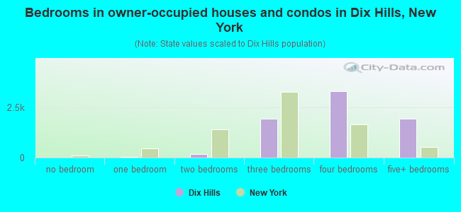 Bedrooms in owner-occupied houses and condos in Dix Hills, New York