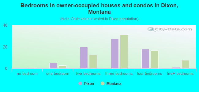 Bedrooms in owner-occupied houses and condos in Dixon, Montana