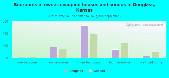 Bedrooms in owner-occupied houses and condos in Douglass, Kansas