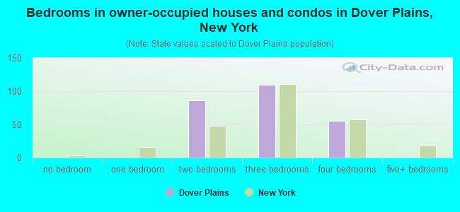 Bedrooms in owner-occupied houses and condos in Dover Plains, New York