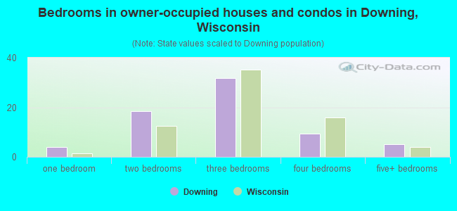 Bedrooms in owner-occupied houses and condos in Downing, Wisconsin