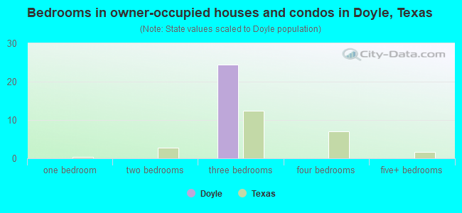 Bedrooms in owner-occupied houses and condos in Doyle, Texas