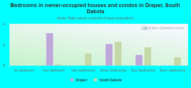 Bedrooms in owner-occupied houses and condos in Draper, South Dakota