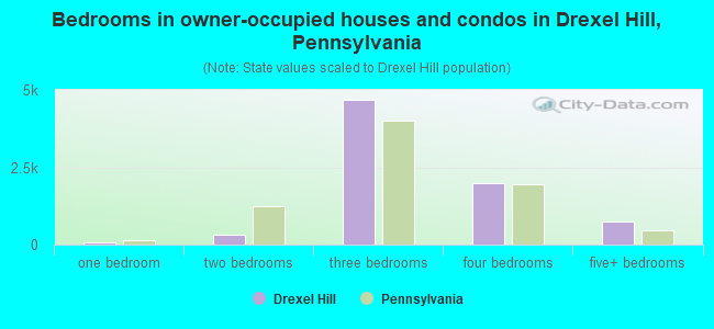 Bedrooms in owner-occupied houses and condos in Drexel Hill, Pennsylvania