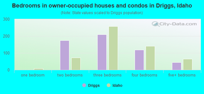 Bedrooms in owner-occupied houses and condos in Driggs, Idaho