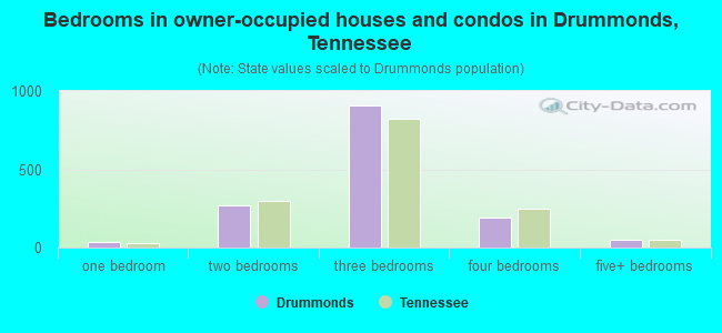Bedrooms in owner-occupied houses and condos in Drummonds, Tennessee