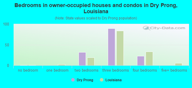 Bedrooms in owner-occupied houses and condos in Dry Prong, Louisiana