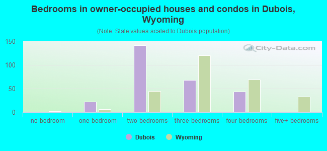 Bedrooms in owner-occupied houses and condos in Dubois, Wyoming