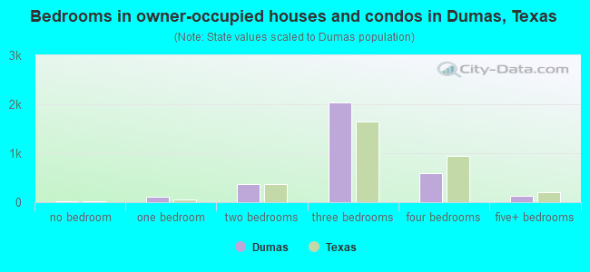 Bedrooms in owner-occupied houses and condos in Dumas, Texas
