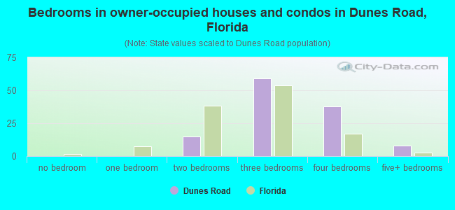 Bedrooms in owner-occupied houses and condos in Dunes Road, Florida