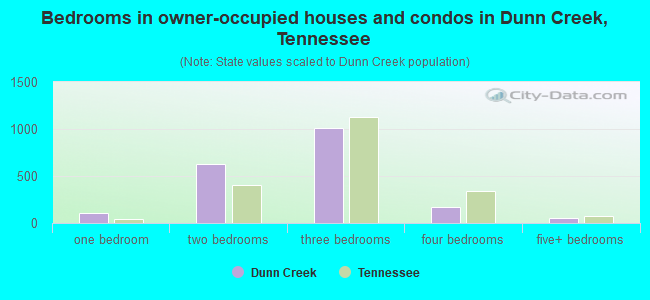 Bedrooms in owner-occupied houses and condos in Dunn Creek, Tennessee
