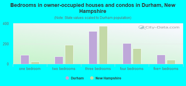 Bedrooms in owner-occupied houses and condos in Durham, New Hampshire