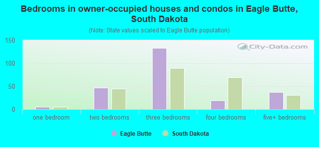 Bedrooms in owner-occupied houses and condos in Eagle Butte, South Dakota