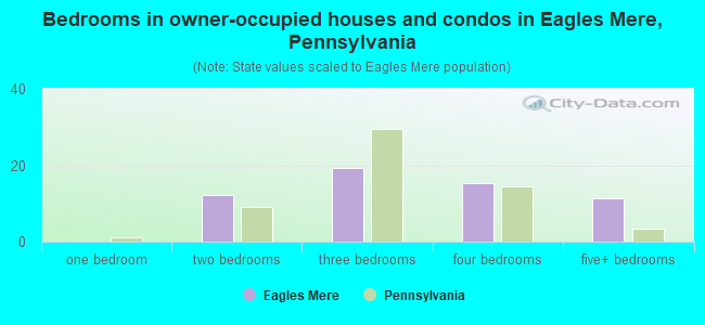 Bedrooms in owner-occupied houses and condos in Eagles Mere, Pennsylvania