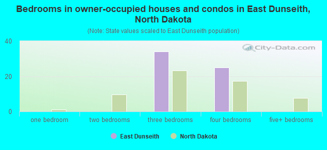 Bedrooms in owner-occupied houses and condos in East Dunseith, North Dakota