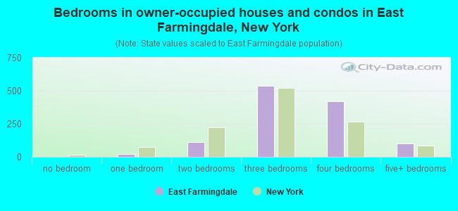 Bedrooms in owner-occupied houses and condos in East Farmingdale, New York