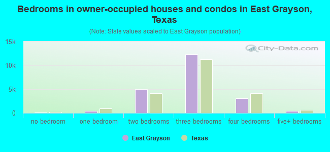 Bedrooms in owner-occupied houses and condos in East Grayson, Texas
