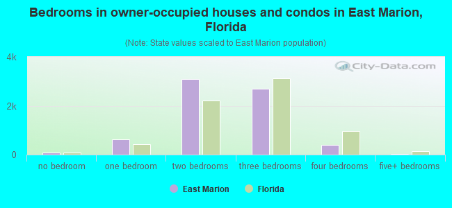 Bedrooms in owner-occupied houses and condos in East Marion, Florida