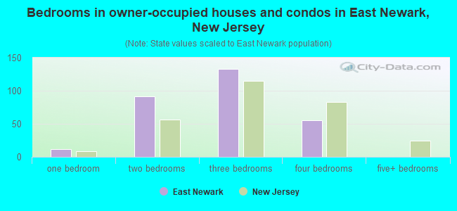 Bedrooms in owner-occupied houses and condos in East Newark, New Jersey