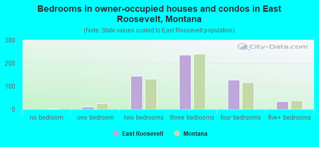 Bedrooms in owner-occupied houses and condos in East Roosevelt, Montana