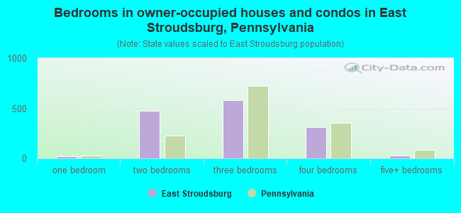 Bedrooms in owner-occupied houses and condos in East Stroudsburg, Pennsylvania