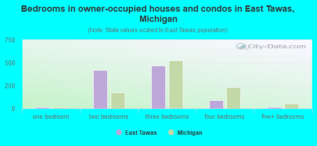 Bedrooms in owner-occupied houses and condos in East Tawas, Michigan