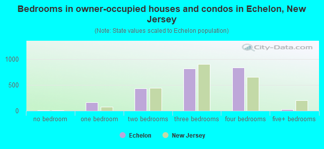Bedrooms in owner-occupied houses and condos in Echelon, New Jersey