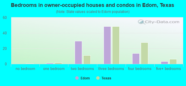 Bedrooms in owner-occupied houses and condos in Edom, Texas