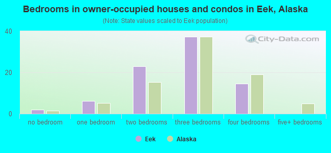 Bedrooms in owner-occupied houses and condos in Eek, Alaska
