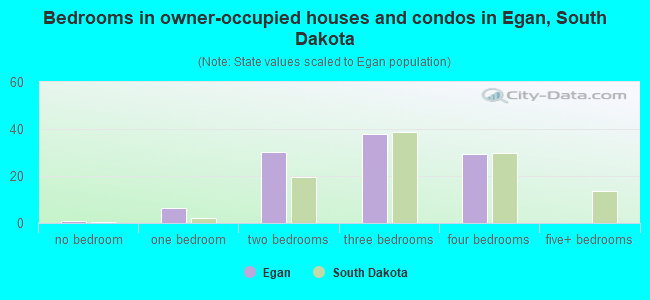 Bedrooms in owner-occupied houses and condos in Egan, South Dakota