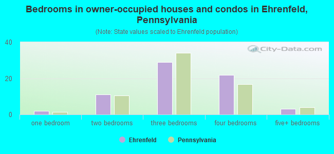 Bedrooms in owner-occupied houses and condos in Ehrenfeld, Pennsylvania