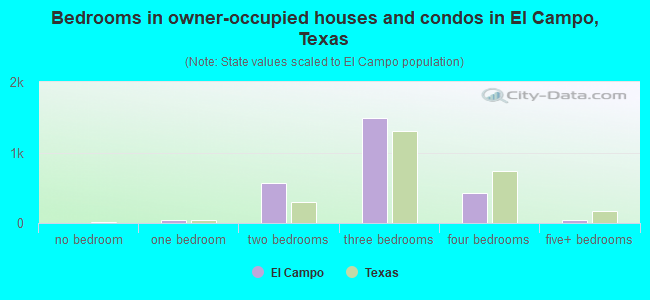 Bedrooms in owner-occupied houses and condos in El Campo, Texas