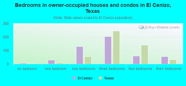 Bedrooms in owner-occupied houses and condos in El Cenizo, Texas