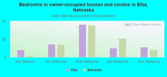 Bedrooms in owner-occupied houses and condos in Elba, Nebraska