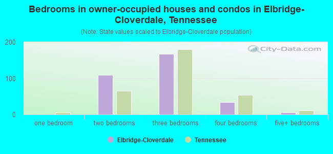 Bedrooms in owner-occupied houses and condos in Elbridge-Cloverdale, Tennessee