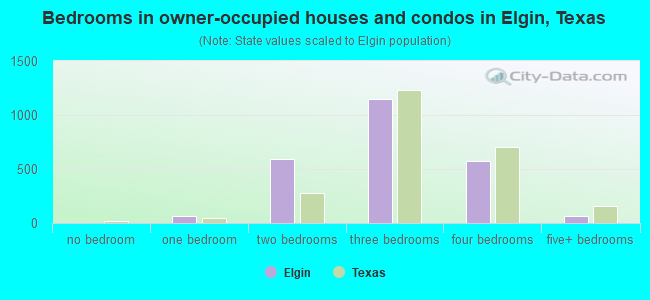 Bedrooms in owner-occupied houses and condos in Elgin, Texas