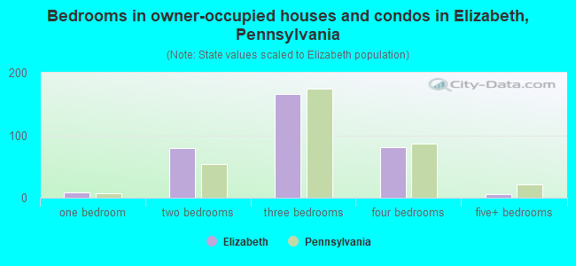 Bedrooms in owner-occupied houses and condos in Elizabeth, Pennsylvania